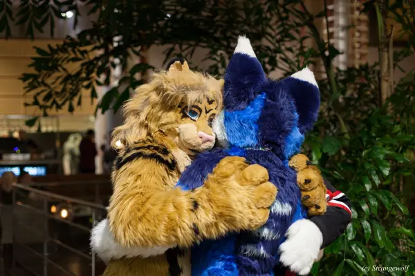 IMG_9045-lr19t.jpg of NFC/NFC2019/Shoot-Defus/