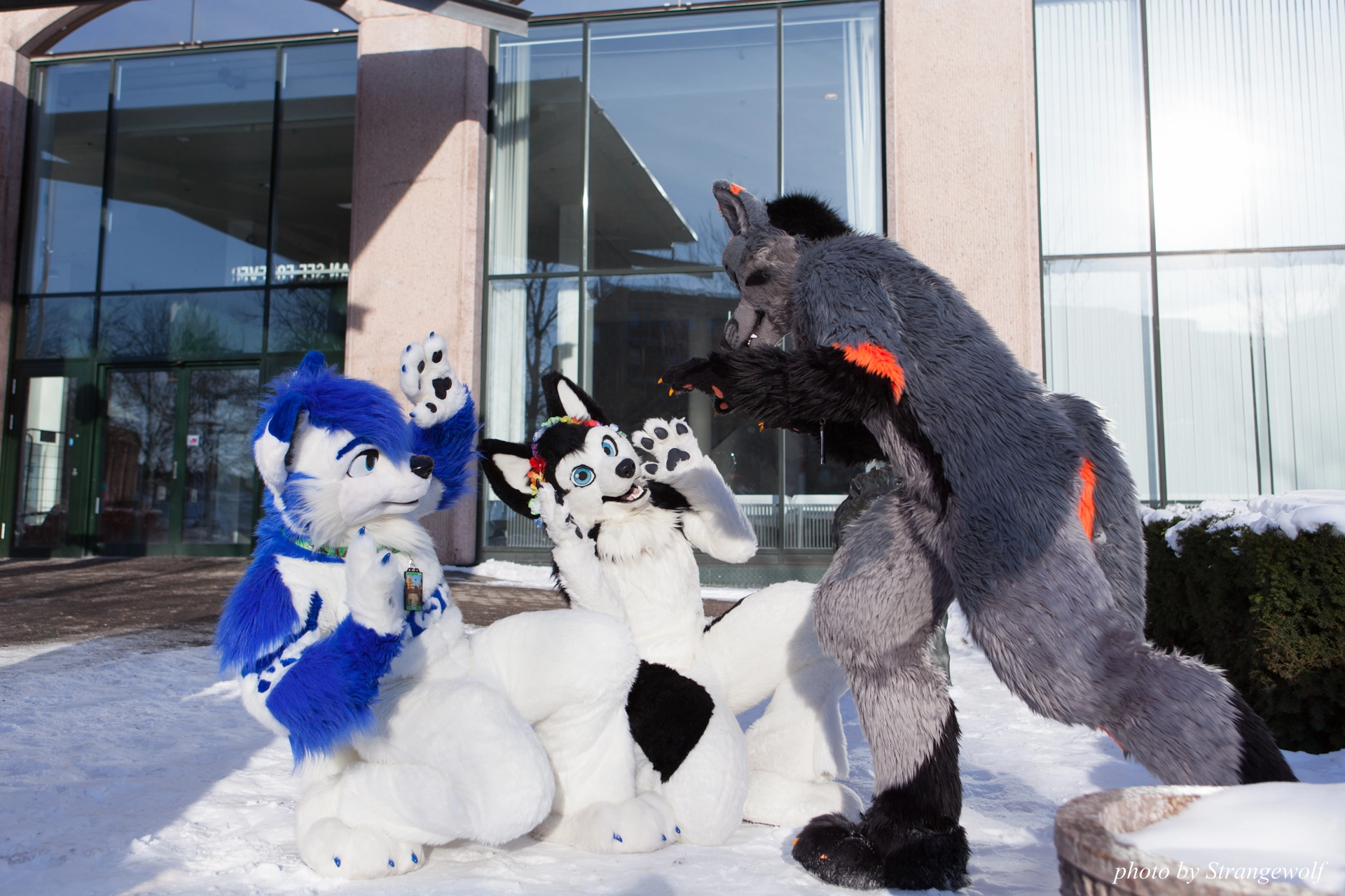 full image IMG_0110-lr19t.jpg