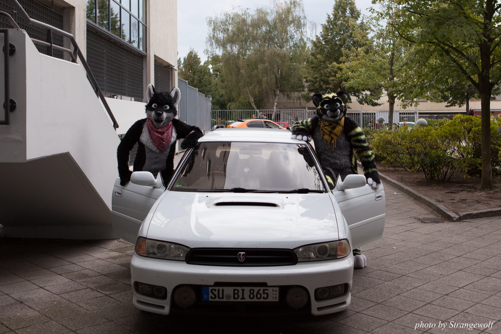 full image IMG_0140-lr16t.jpg