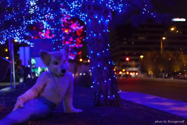 IMG_0771-lr16t.jpg of MFF/MFF2016/Photoshoot-Glitch_Merwusky/