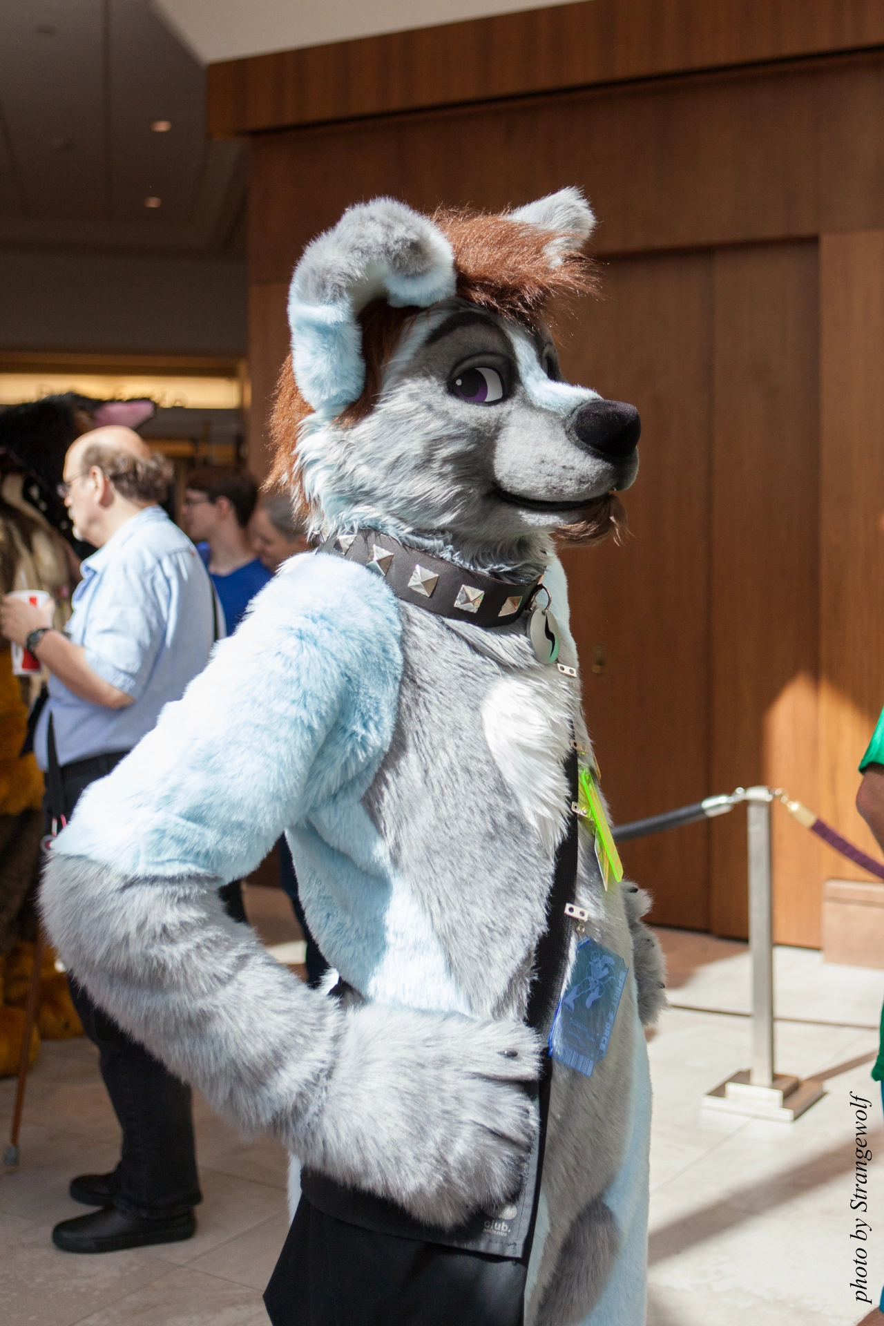 full image IMG_4970-lr19t.jpg