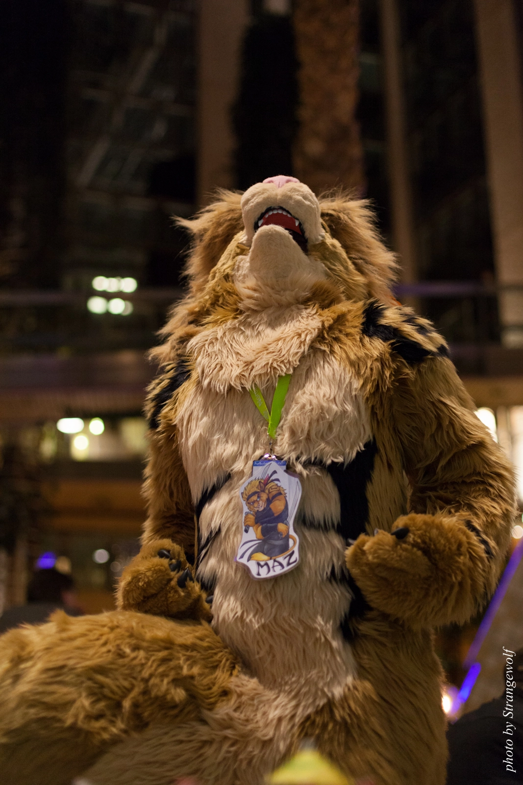 full image IMG_2482-lr16t.jpg