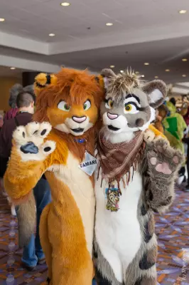 IMG_8357-lr19t.jpg of MFF/MFF2017/