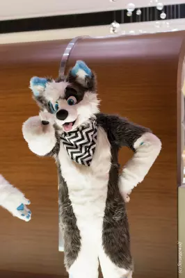 IMG_7072-lr19t.jpg of MFF/MFF2018/