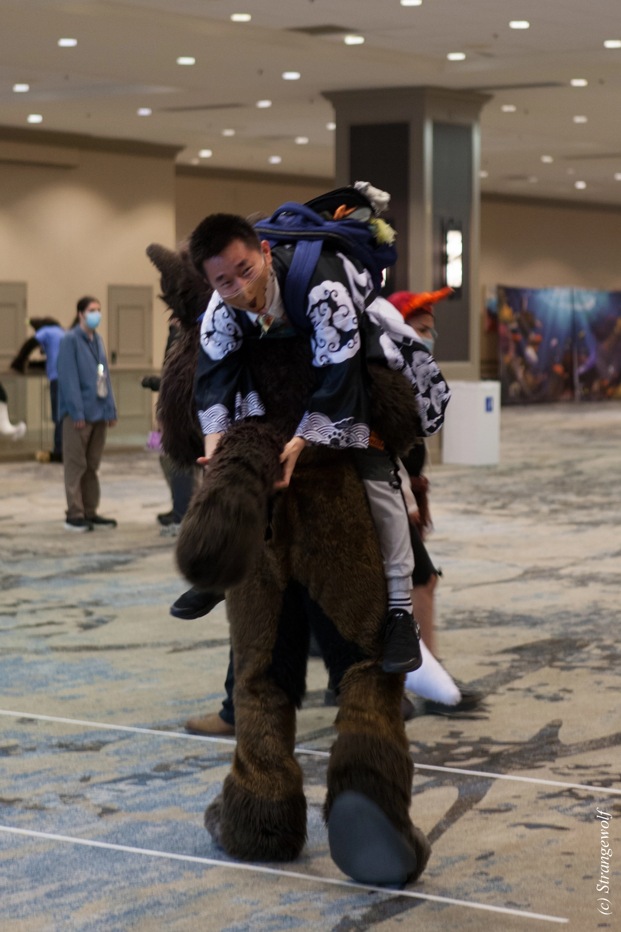 full image IMG_3849-lr19t.jpg
