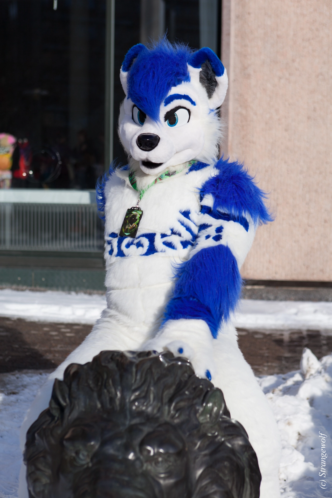 full image IMG_9722-lr19t.jpg