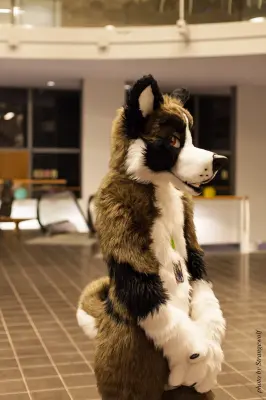 IMG_1970-lr16t.jpg of NFC/NFC2017/