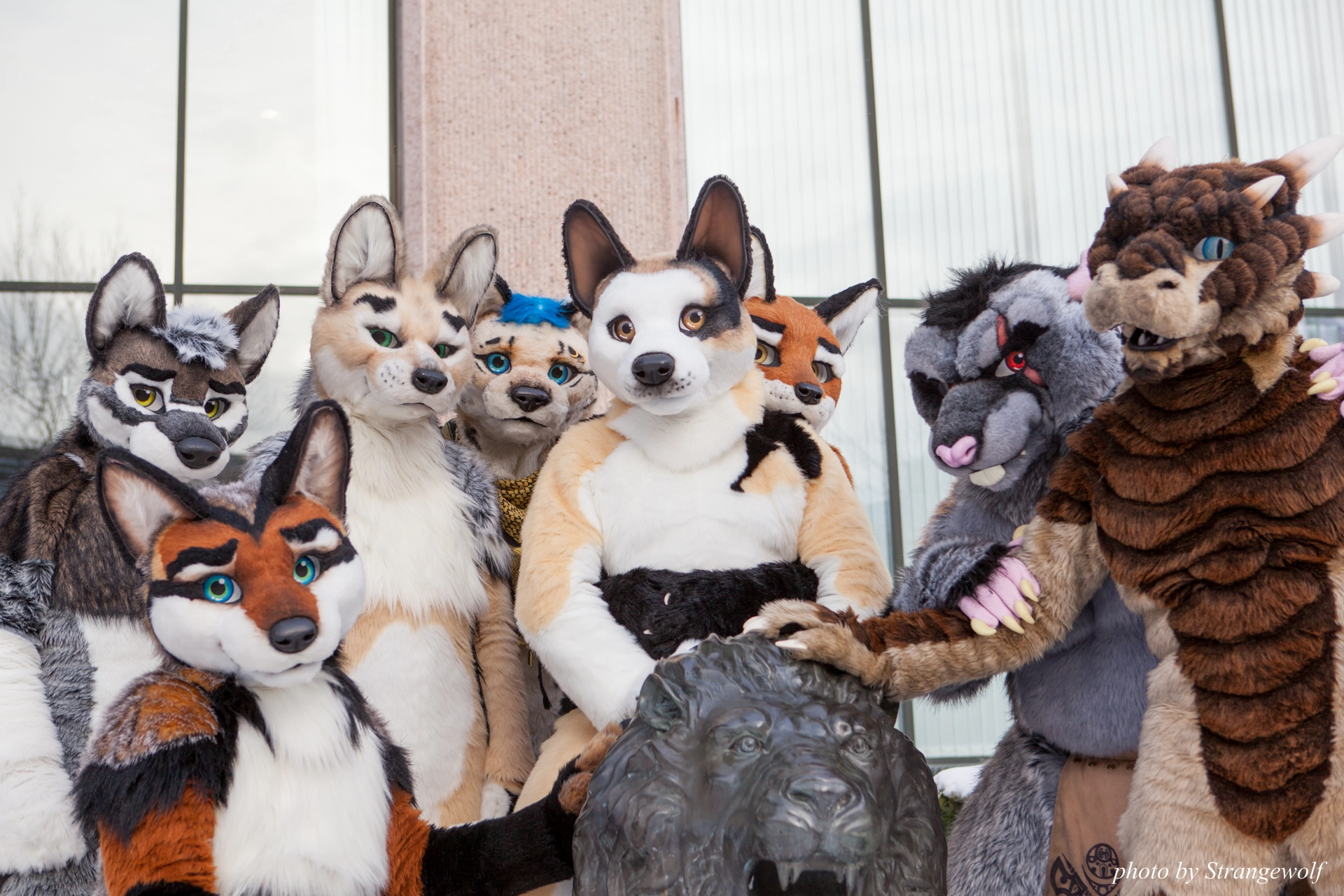 full image IMG_0317-lr19t.jpg