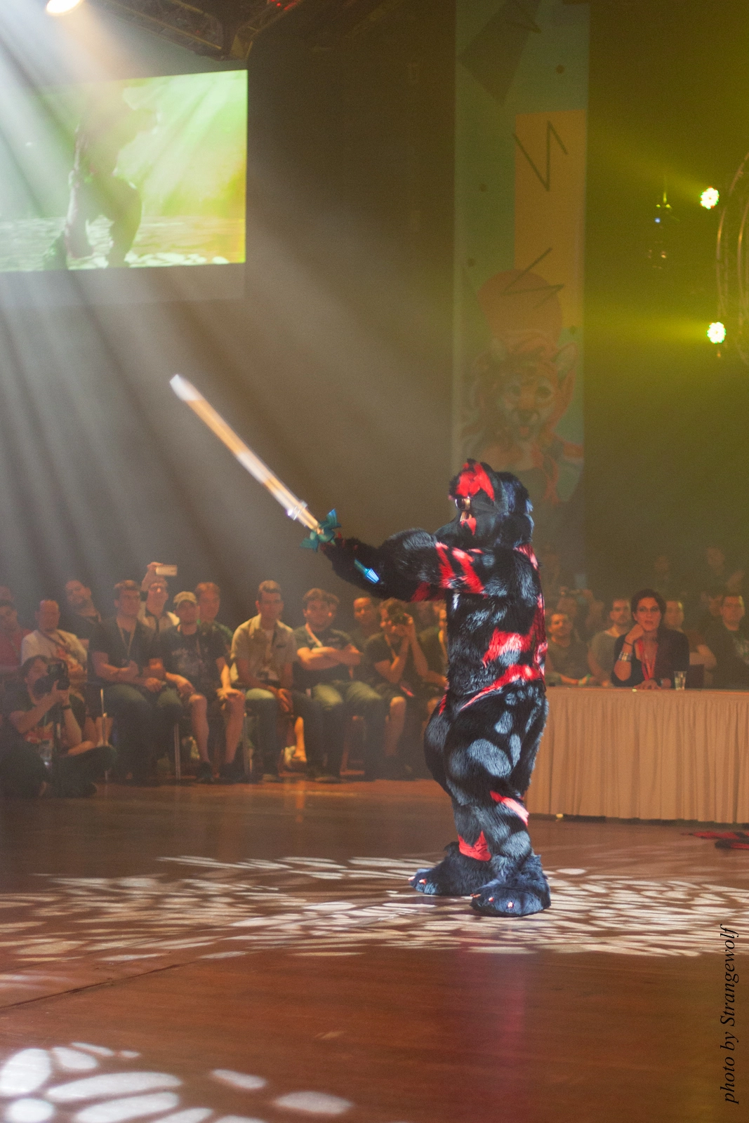 full image IMG_9173-lr16t.jpg