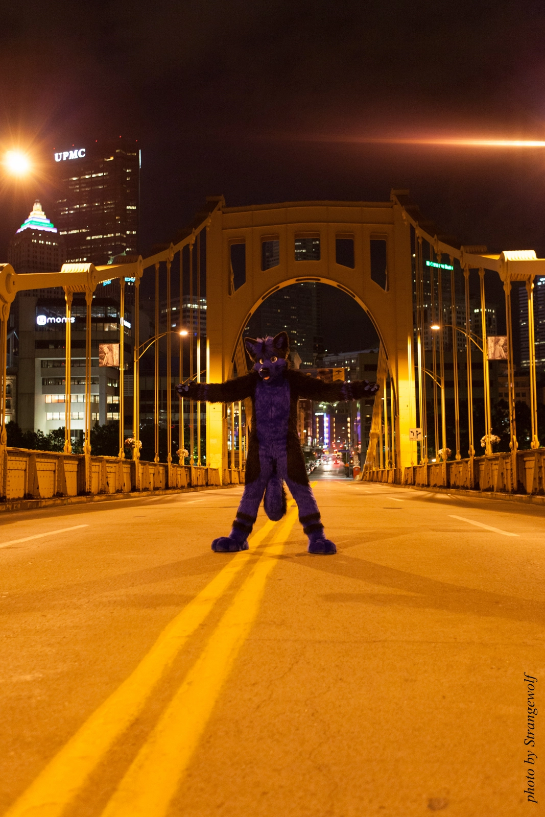 full image IMG_8504-lr16t.jpg