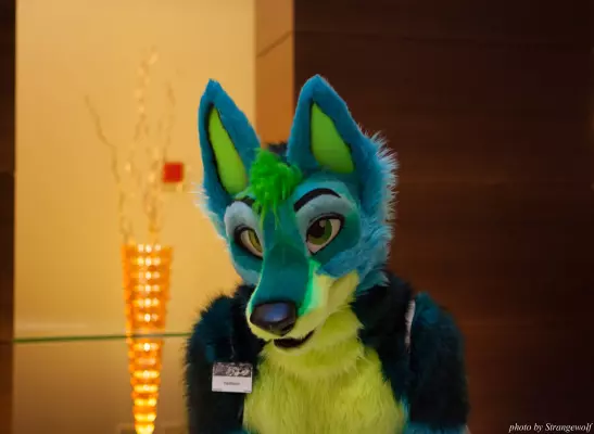 IMG_5894-lr16t.jpg of MFF/MFF2014/