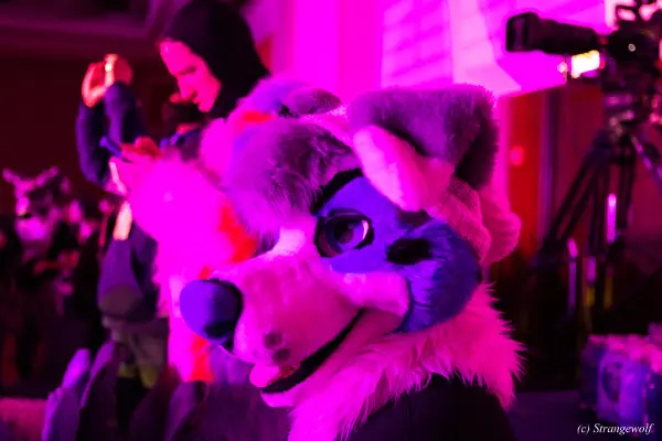 1R3A4975-lr19t.jpg of MFF/MFF2024/