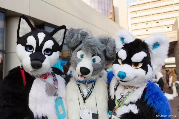 IMG_8416-lr19t.jpg of MFF/MFF2017/