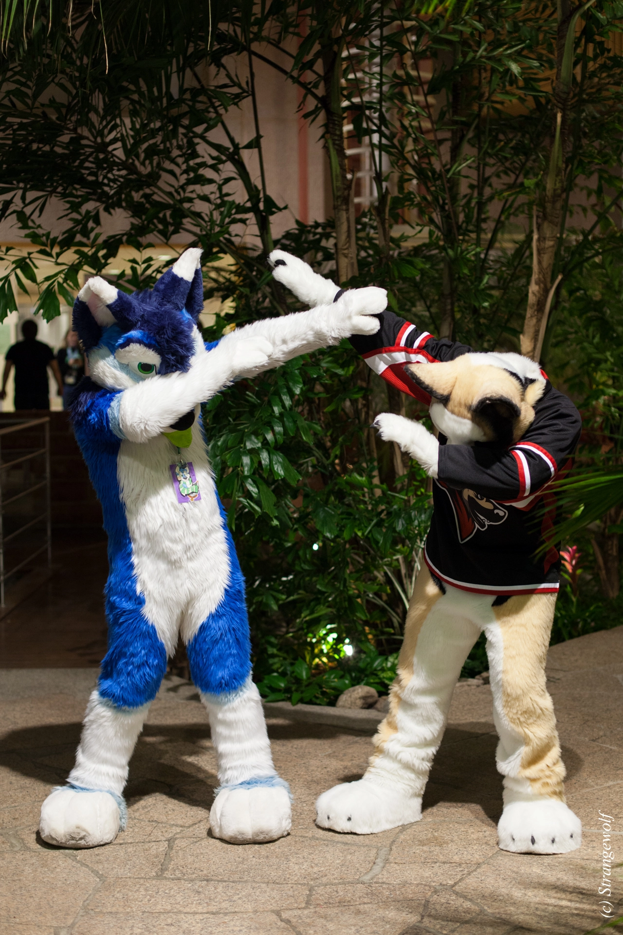 full image IMG_9067-lr19t.jpg