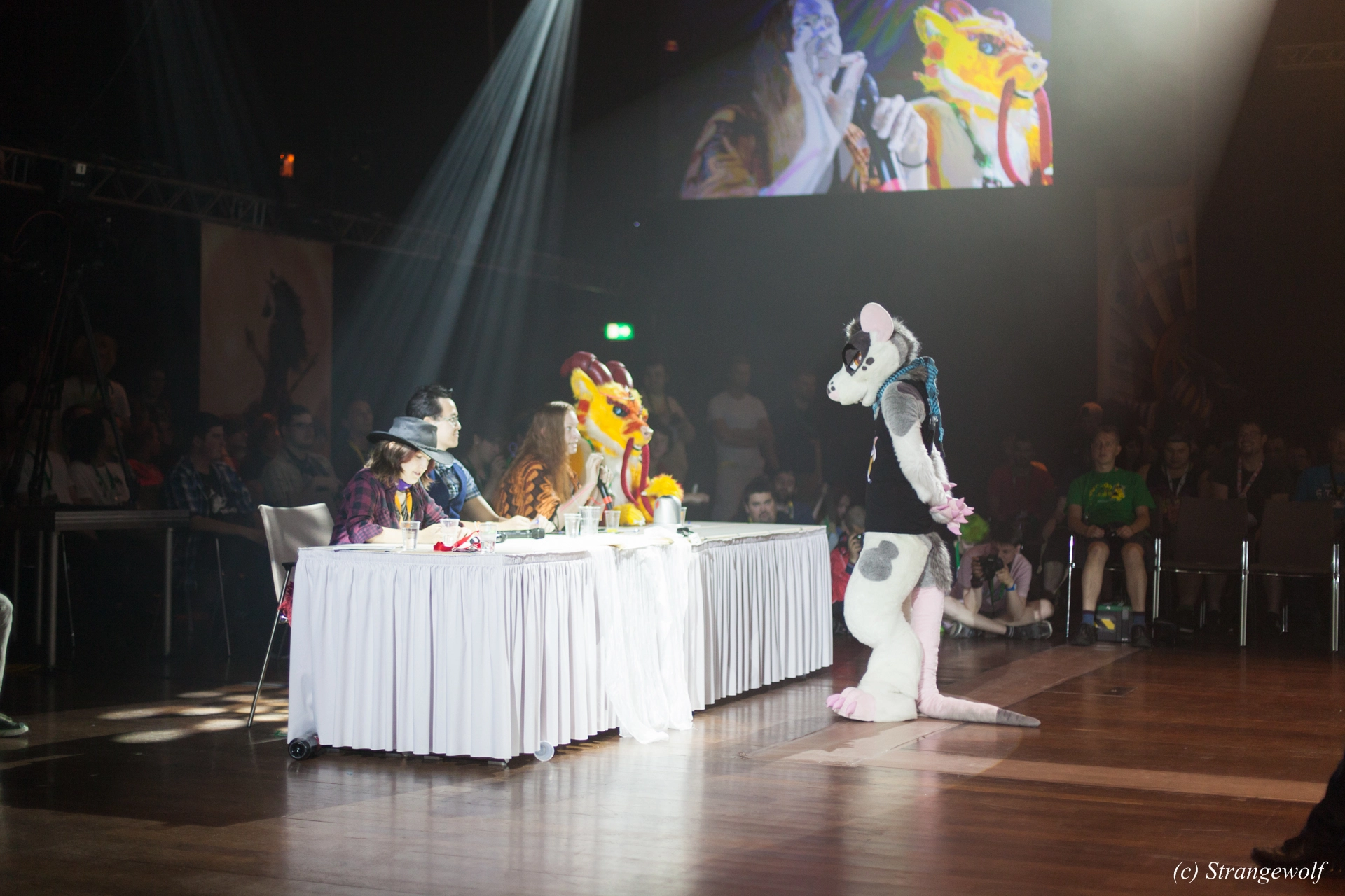 full image IMG_6377-lr19t.jpg