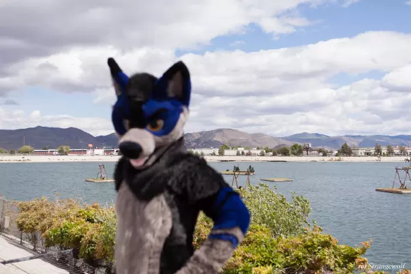 IMG_2733-lr19t.jpg of BLFC/2019/Fotoshoot-Slate/