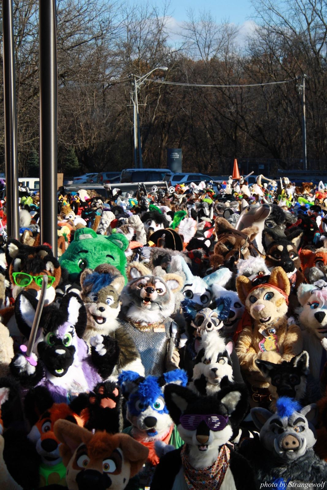 full image IMG_0654-lr.jpg