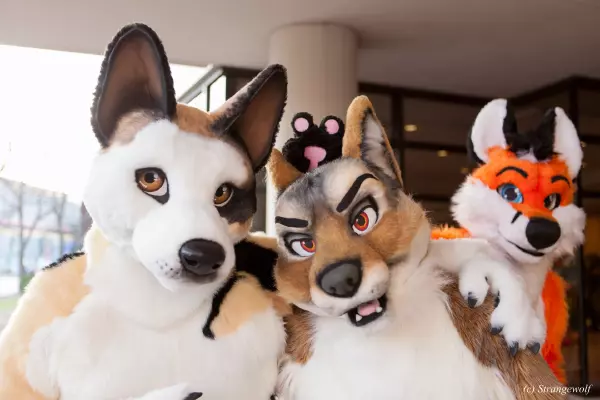 IMG_8463-lr19t.jpg of MFF/MFF2017/