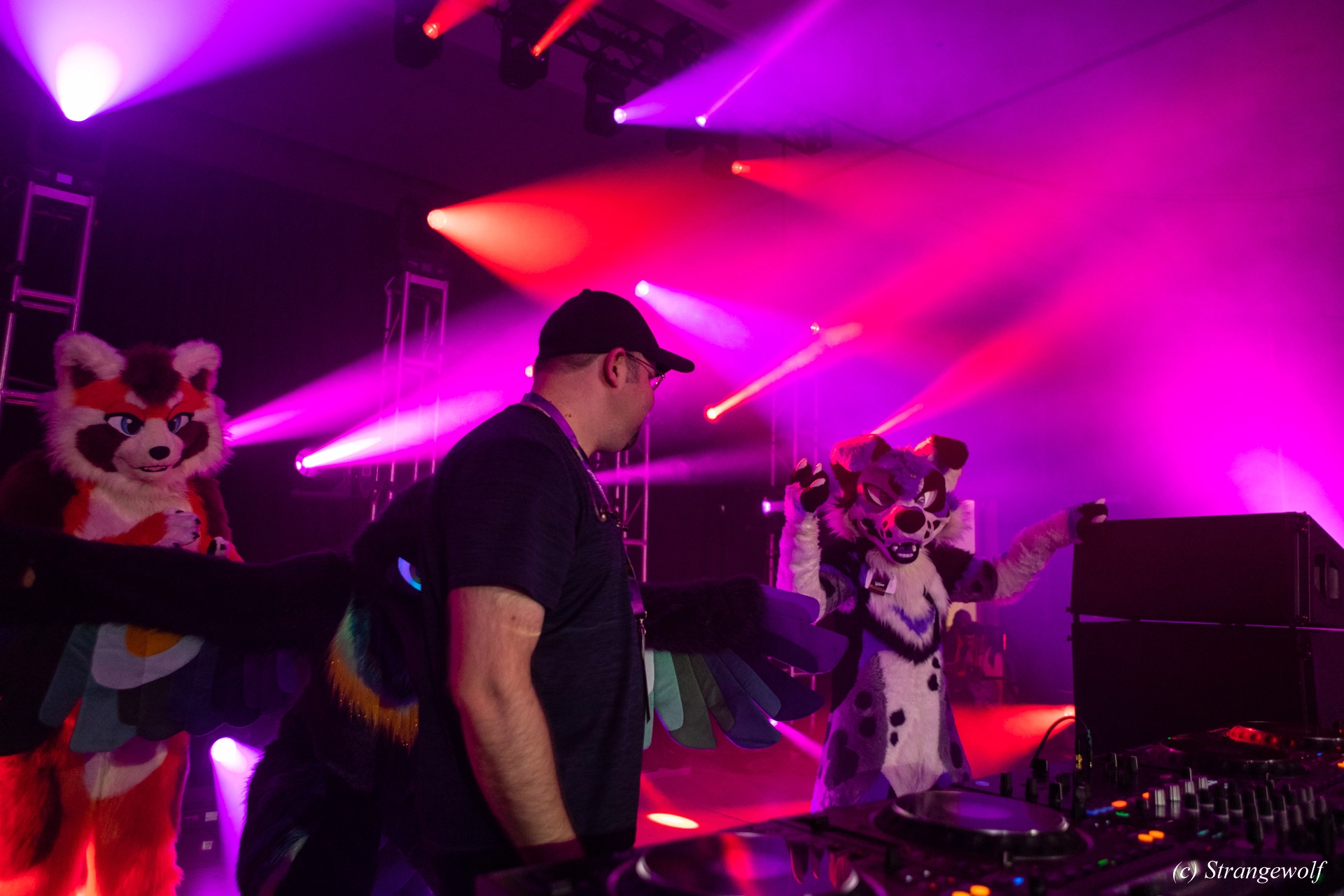 full image 1R3A0903-lr19t.jpg