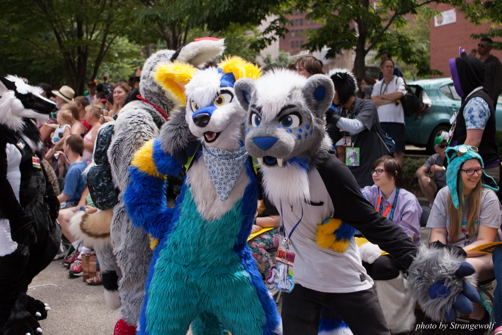 full image IMG_8059-lr16t.jpg
