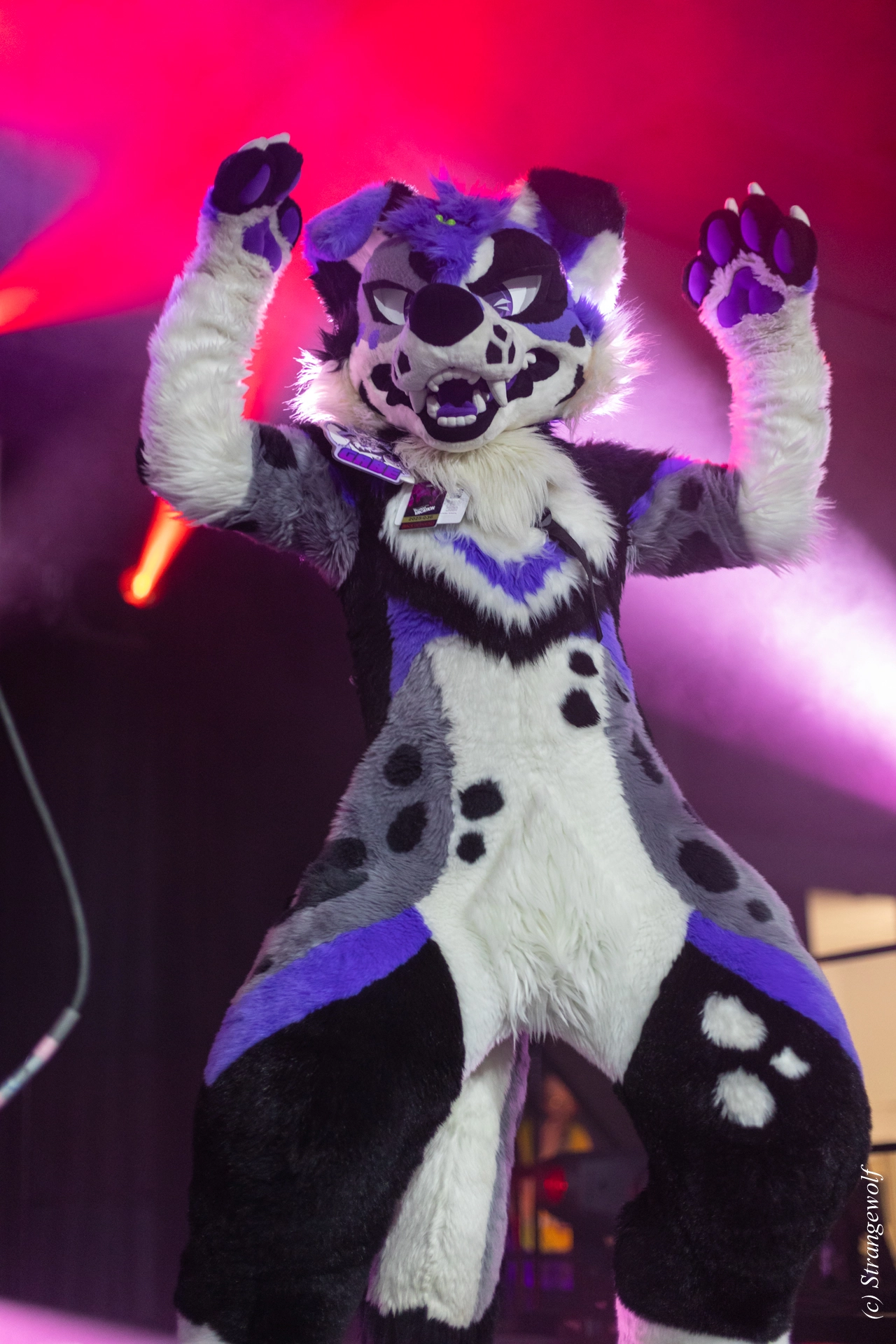 full image 1R3A0739-lr19t.jpg