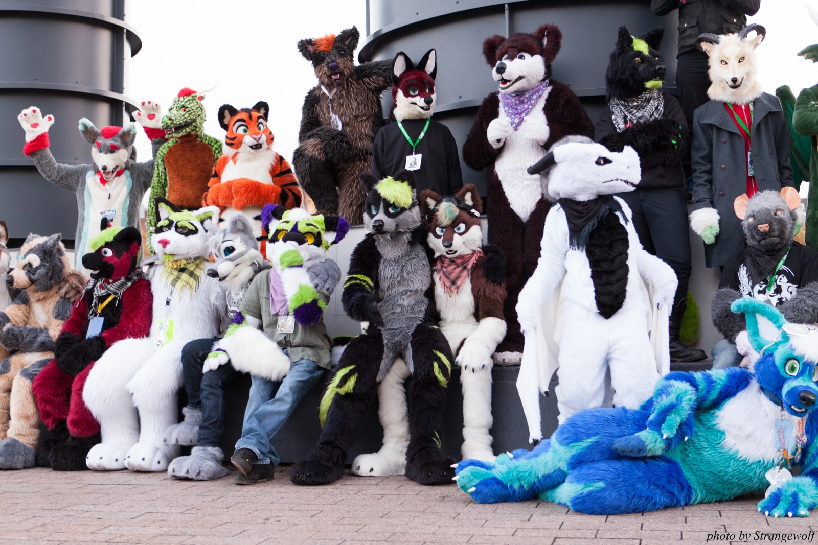 full image IMG_5375-lr16t.jpg