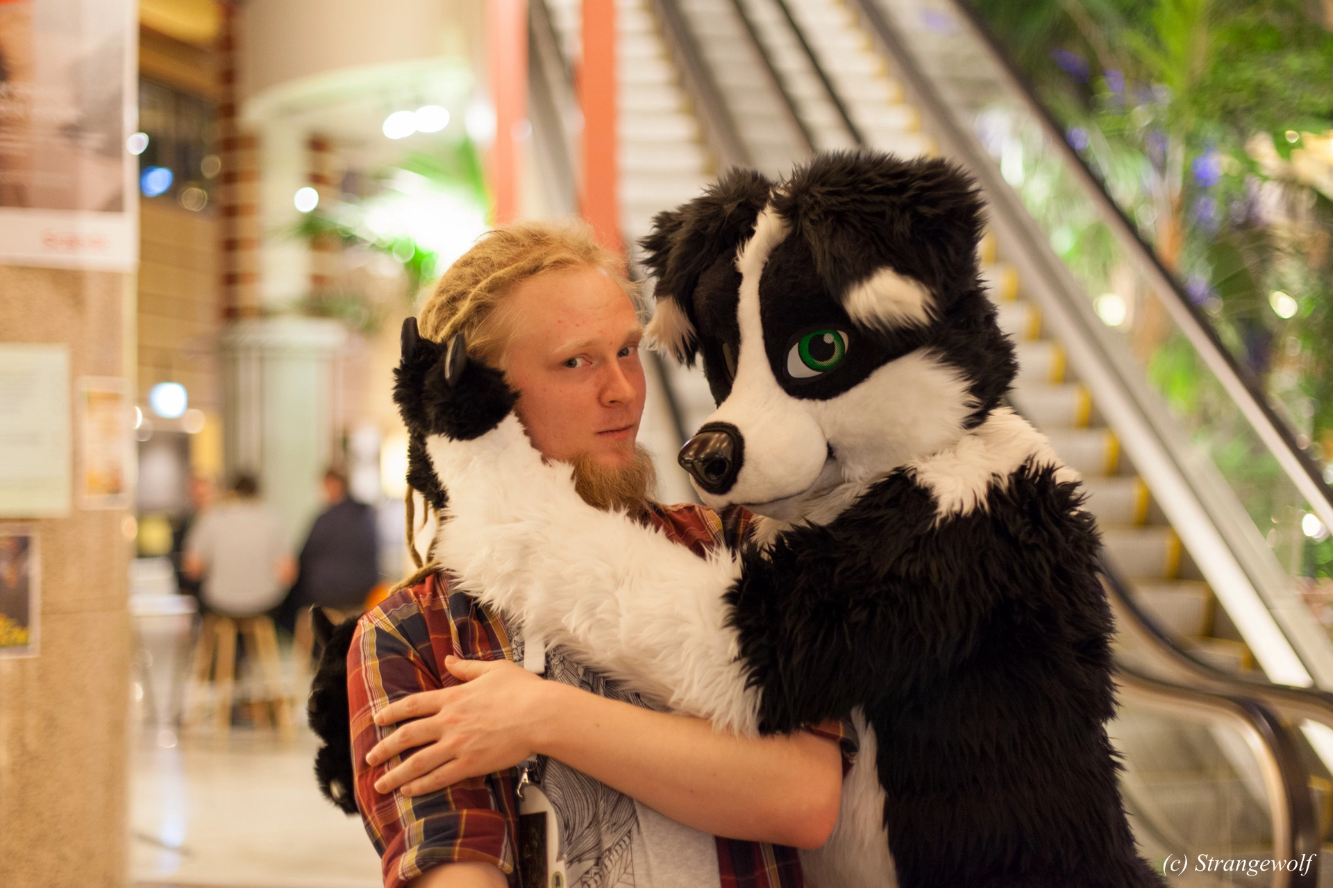 full image IMG_9455-lr19t.jpg