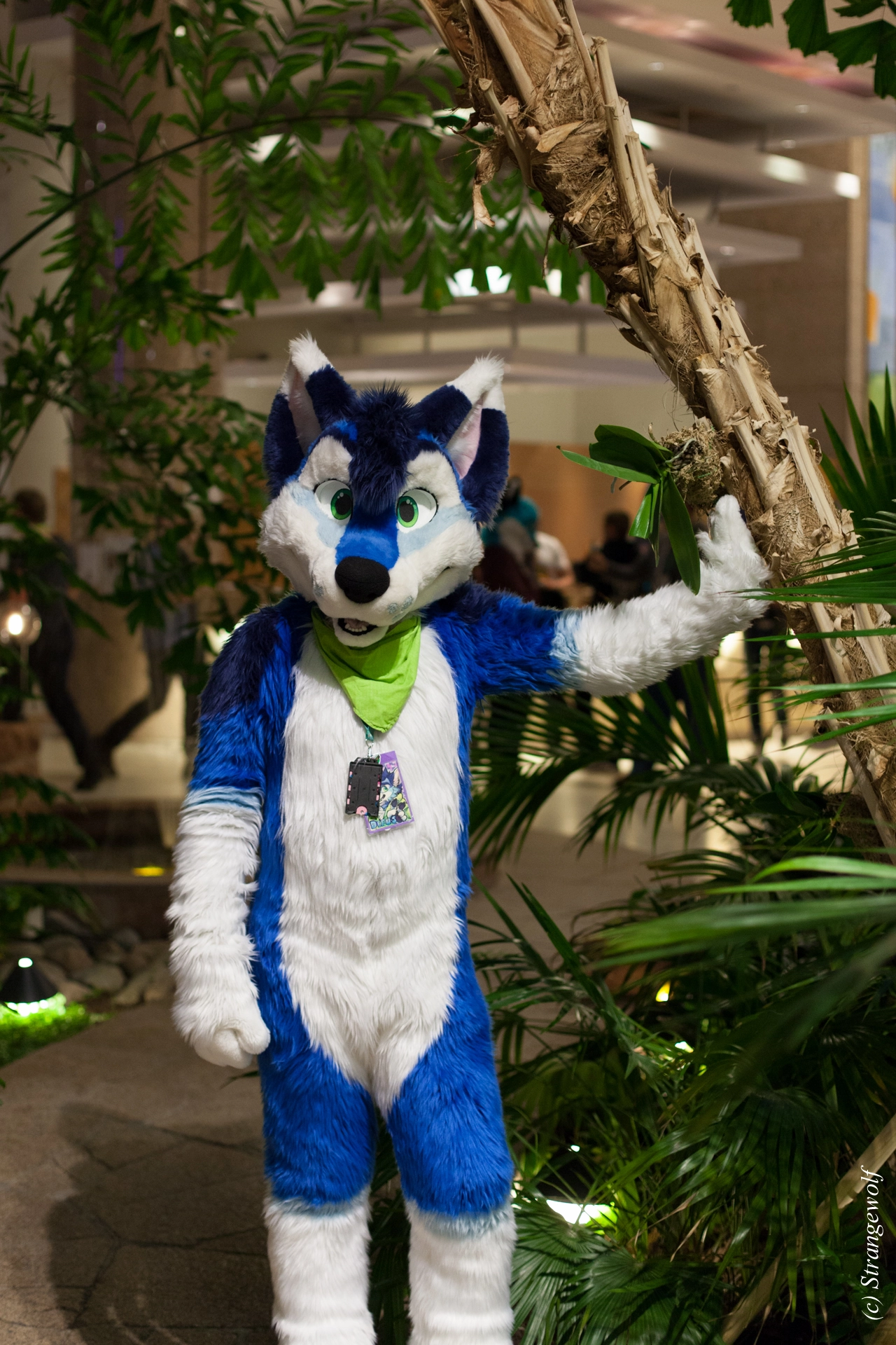 full image IMG_8984-lr19t.jpg