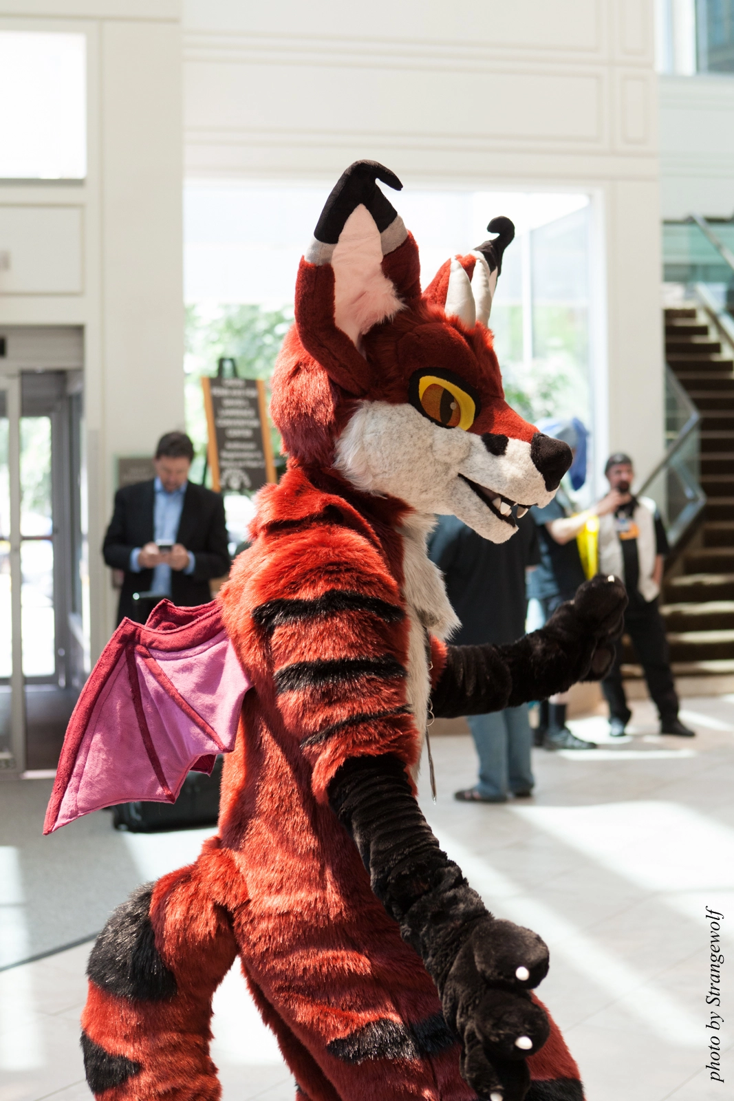 full image IMG_3921-lr16t.jpg