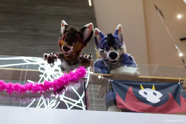 IMG_9190-lr19t.jpg of NFC/NFC2020/