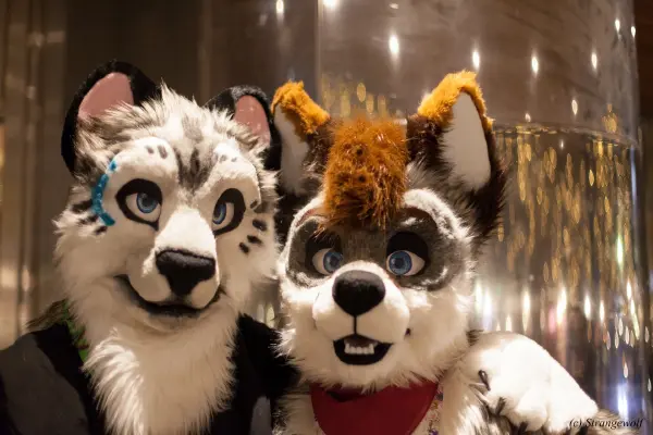 IMG_0767-lr19t.jpg of NFC/NFC2018/