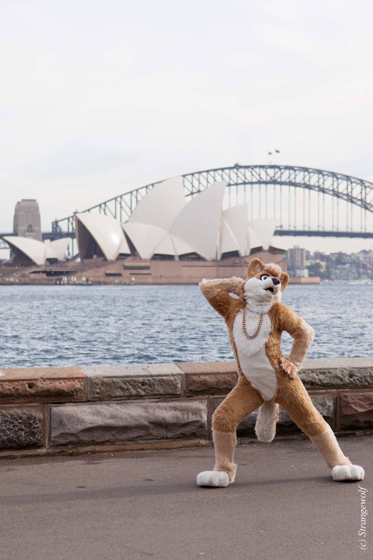 full image IMG_4292-lr19t.jpg