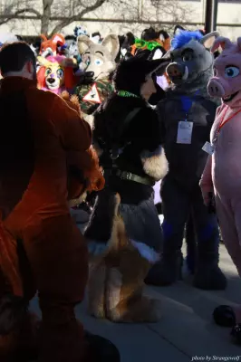 IMG_0651-lr.jpg of MFF/MFF2013/