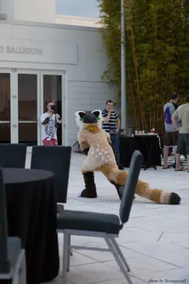 IMG_8391-lr16t.jpg of ESG/ESG2015/