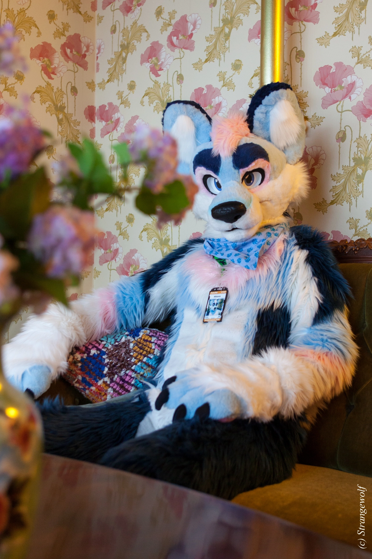 full image IMG_8500-lr19t.jpg