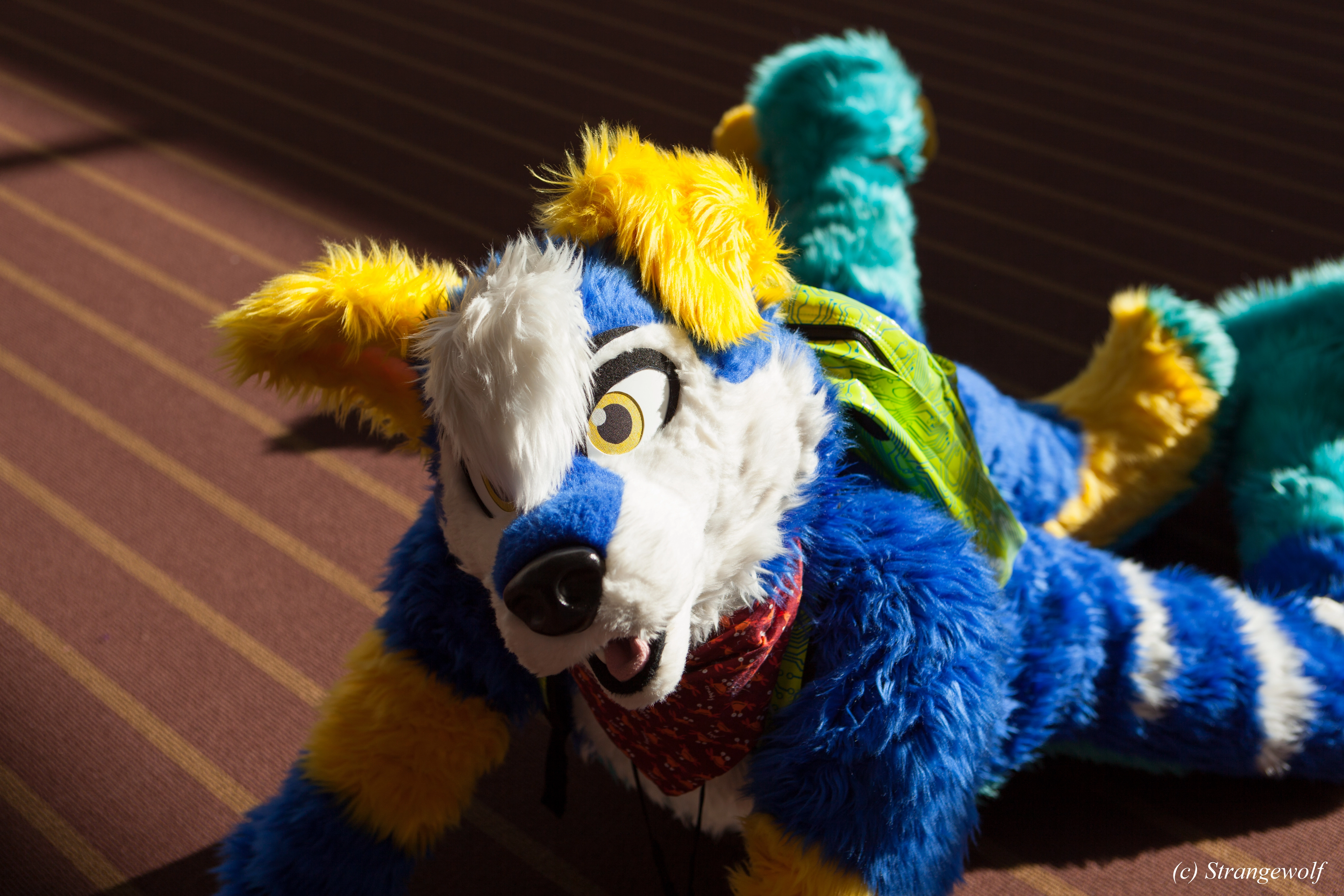 full image IMG_4384-lr.jpg