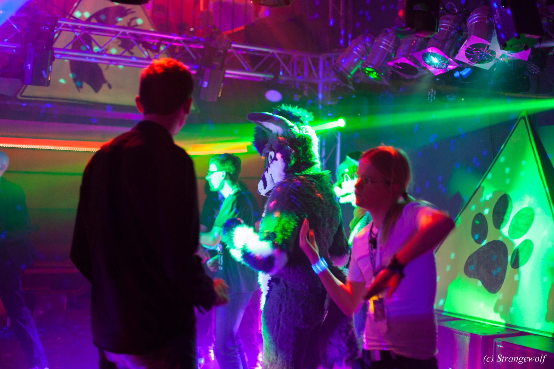 full image IMG_1207-lr19t.jpg