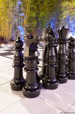 IMG_8023-lr16t.jpg of ESG/ESG2015/