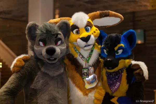 IMG_9183-lr19t.jpg of NFC/NFC2020/