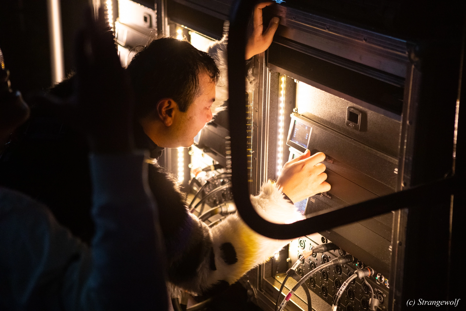 full image 1R3A0963-lr19t.jpg