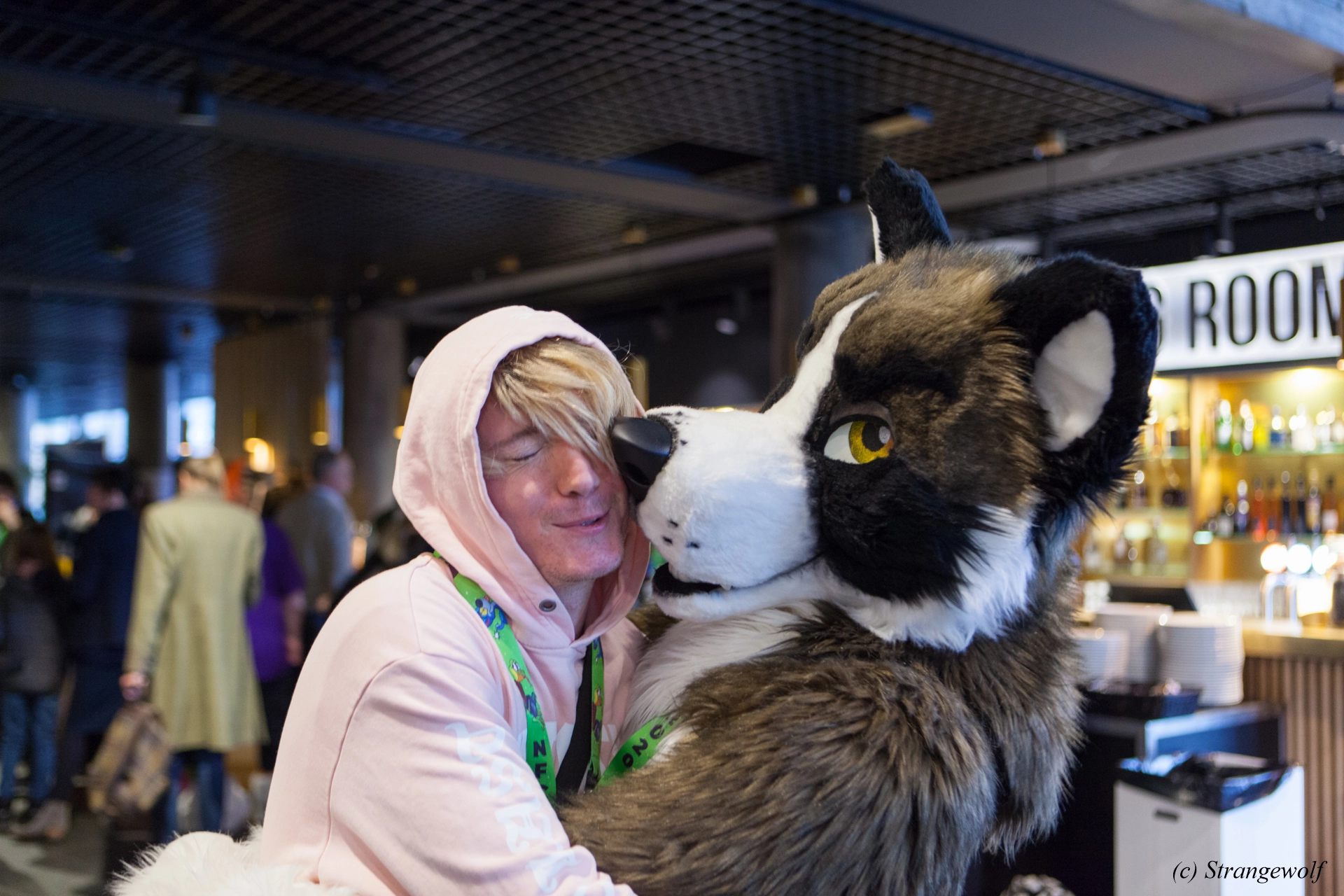 full image IMG_8553-lr19t.jpg