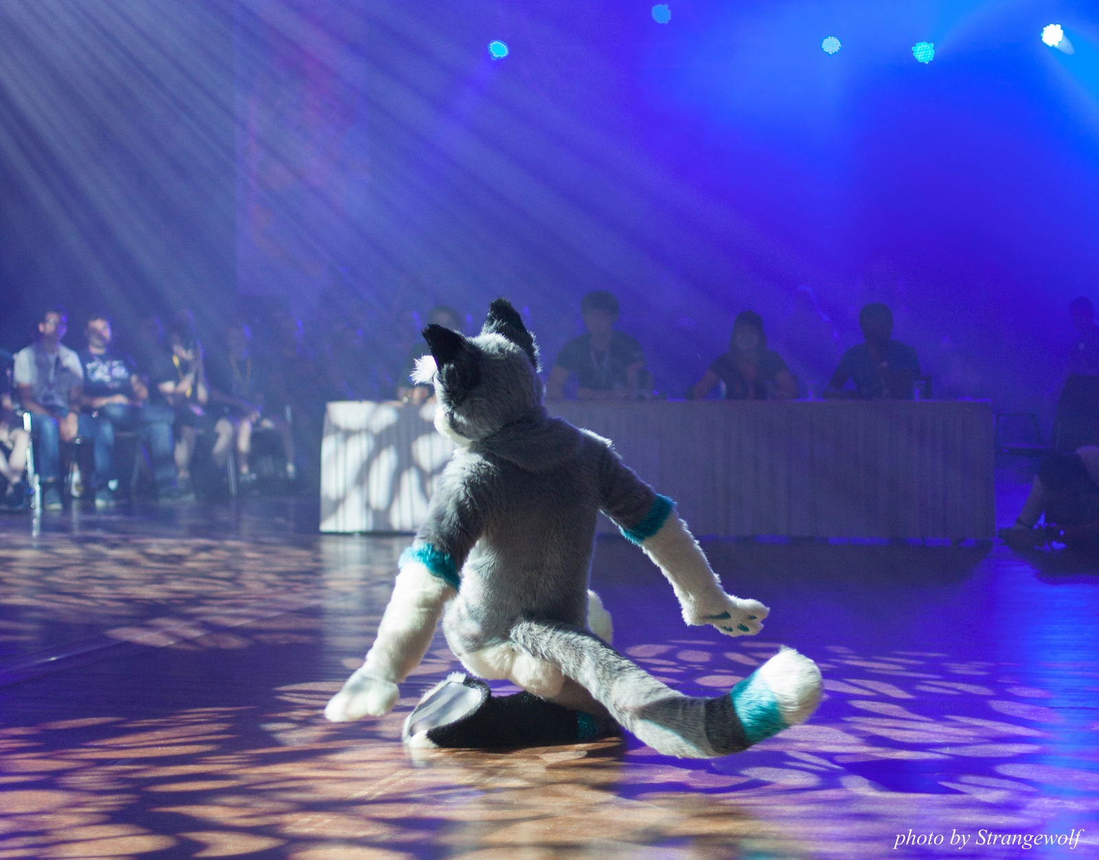 full image IMG_9137-lr16t.jpg