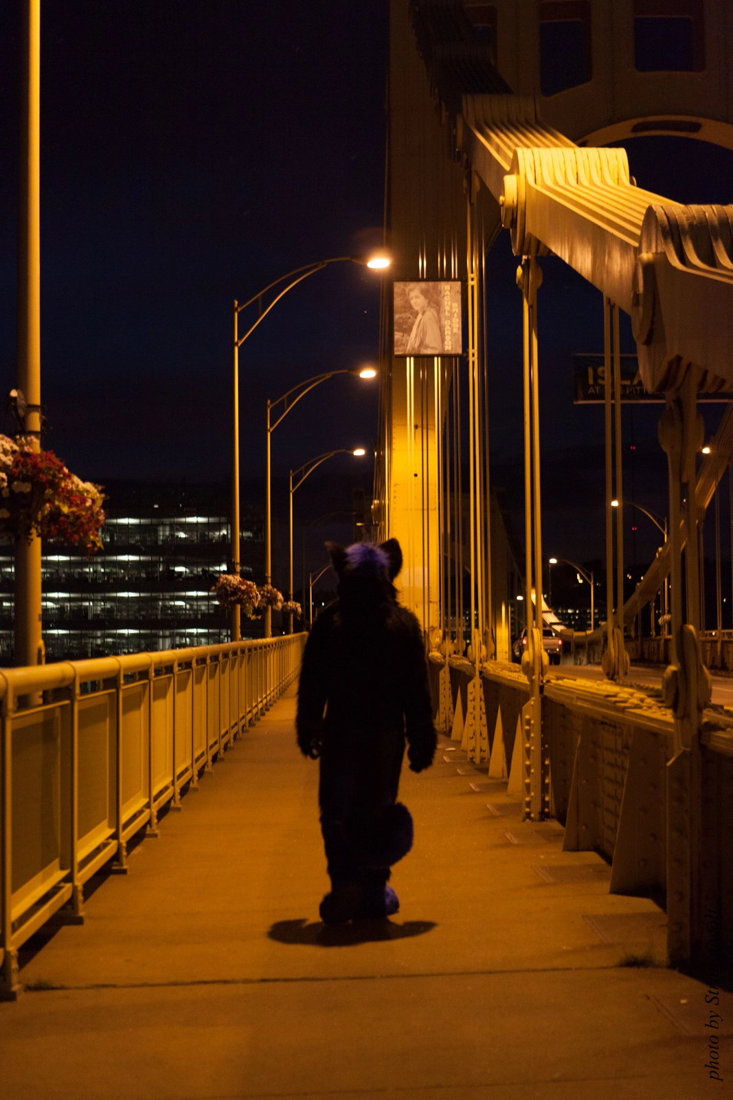 full image IMG_8461-lr16t.jpg