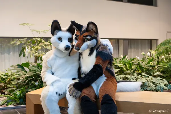 IMG_0517-lr19t.jpg of NFC/NFC2018/