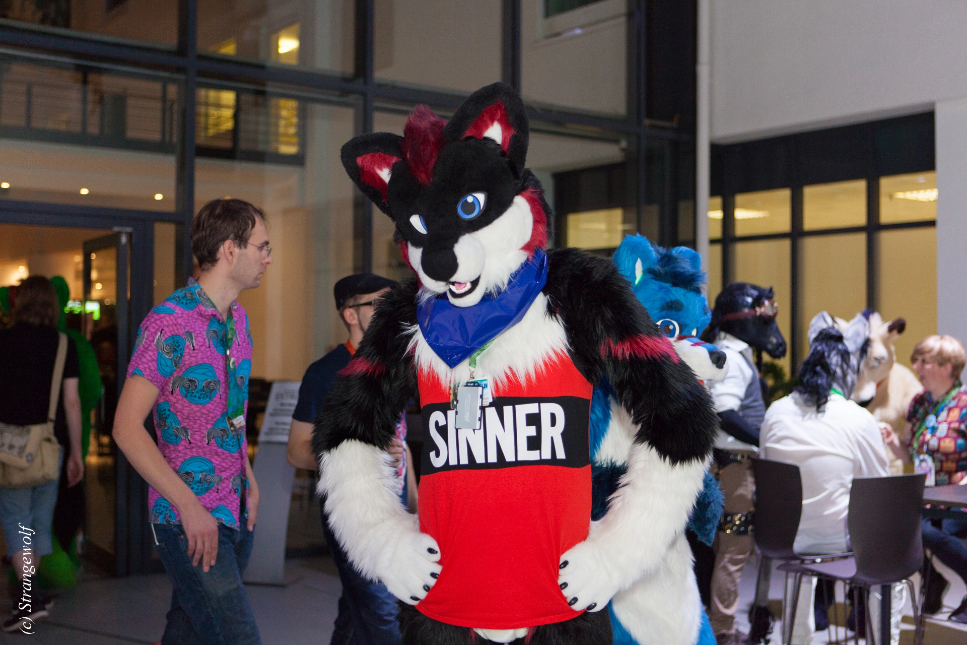 full image IMG_4861-lr19t.jpg