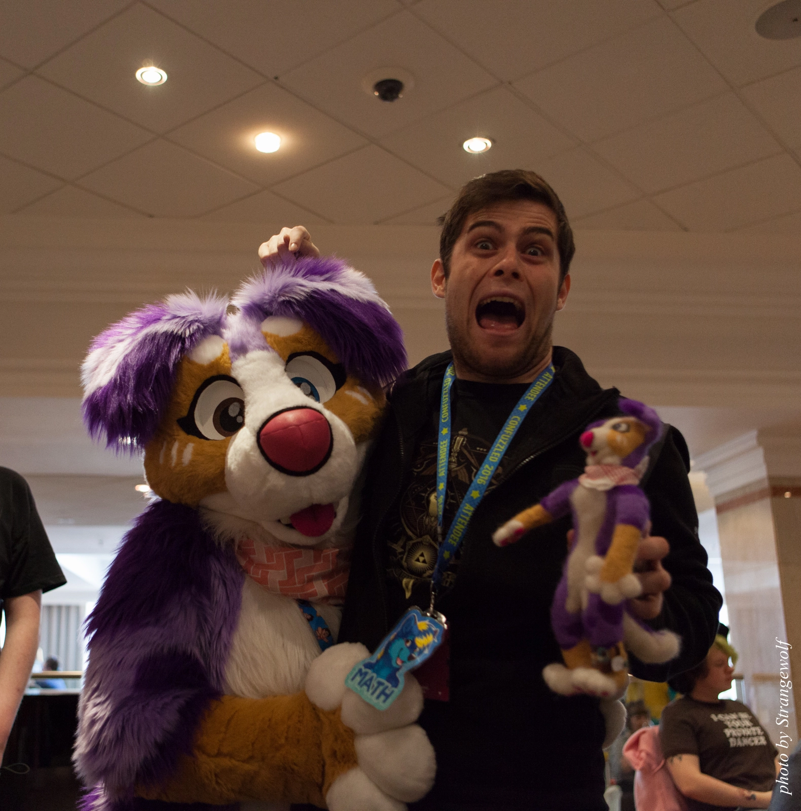 full image IMG_7455-lr16t.jpg