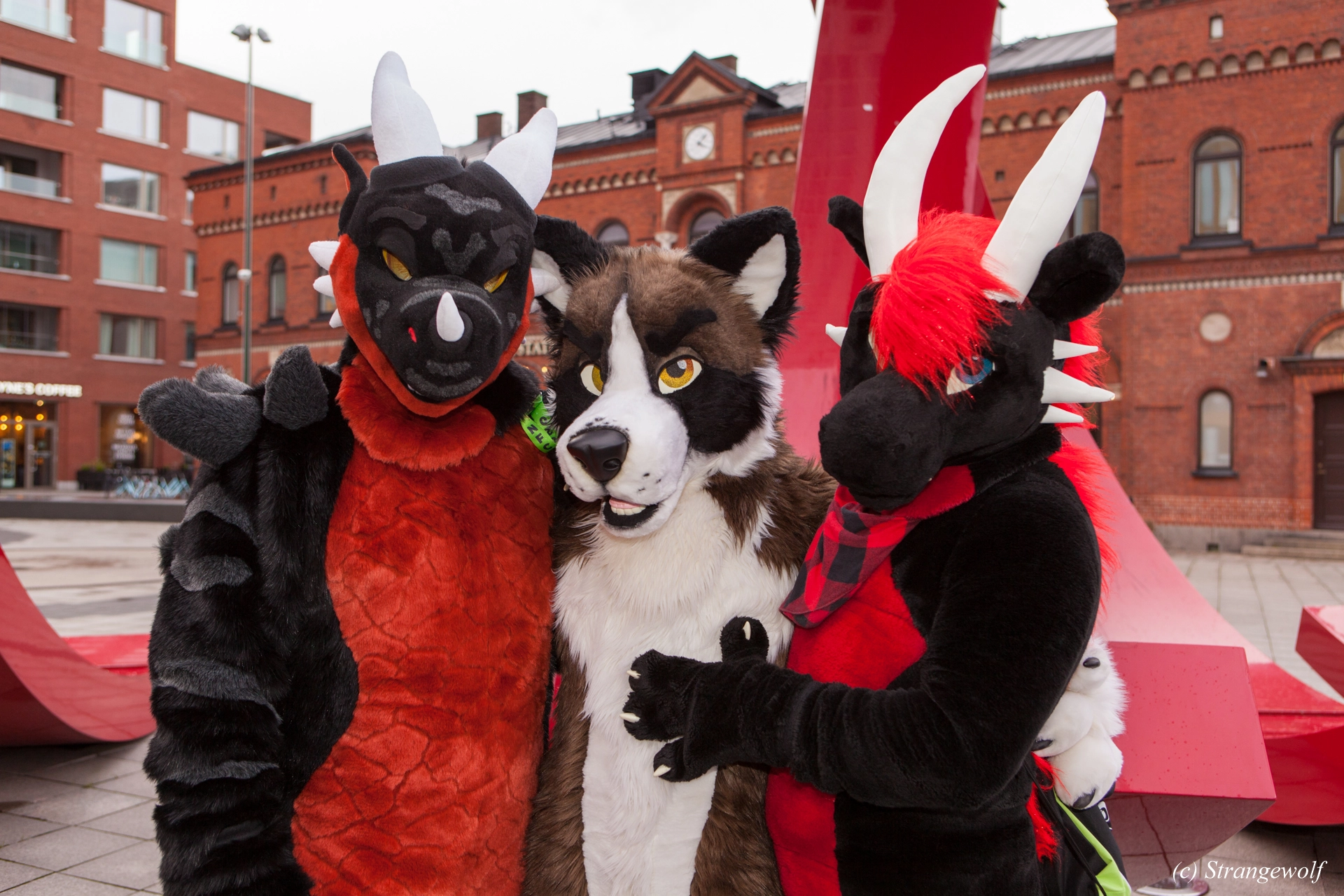 full image IMG_8991-lr19t.jpg