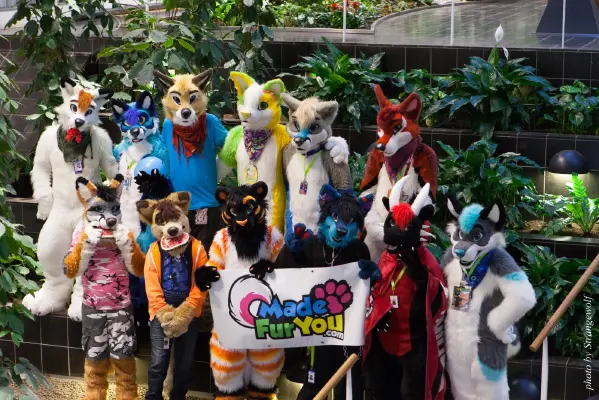 IMG_1714-lr16t.jpg of NFC/NFC2017/