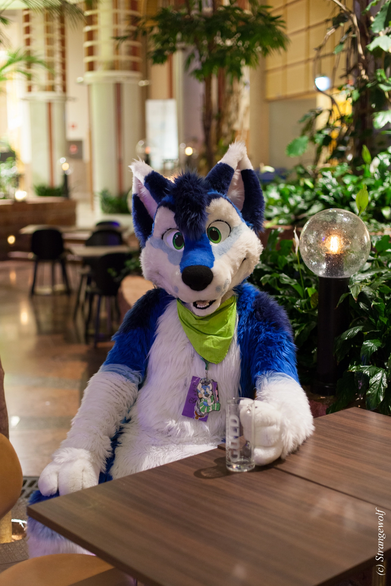 full image IMG_8997-lr19t.jpg