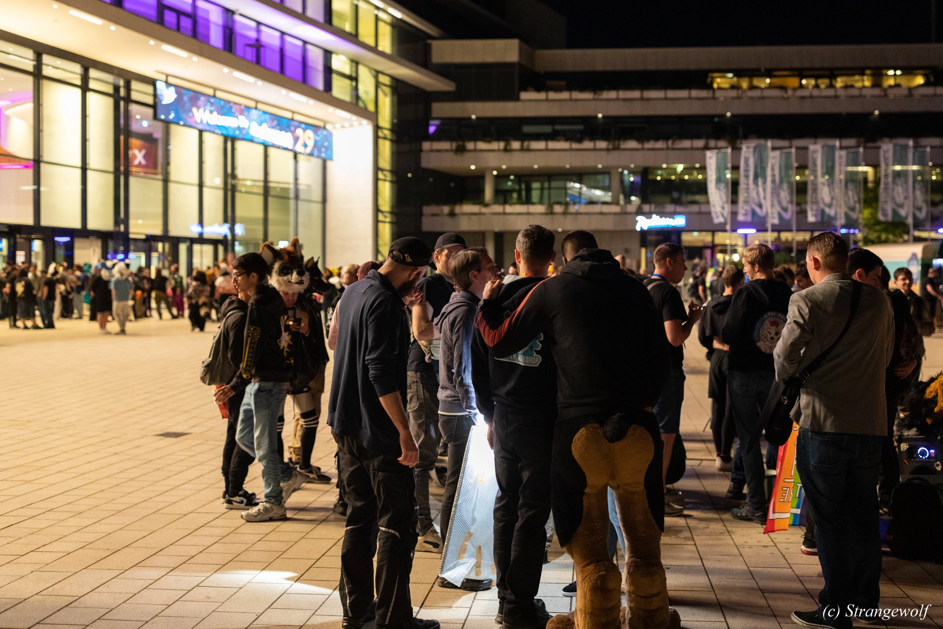 full image 1R3A9564-lr19t.jpg